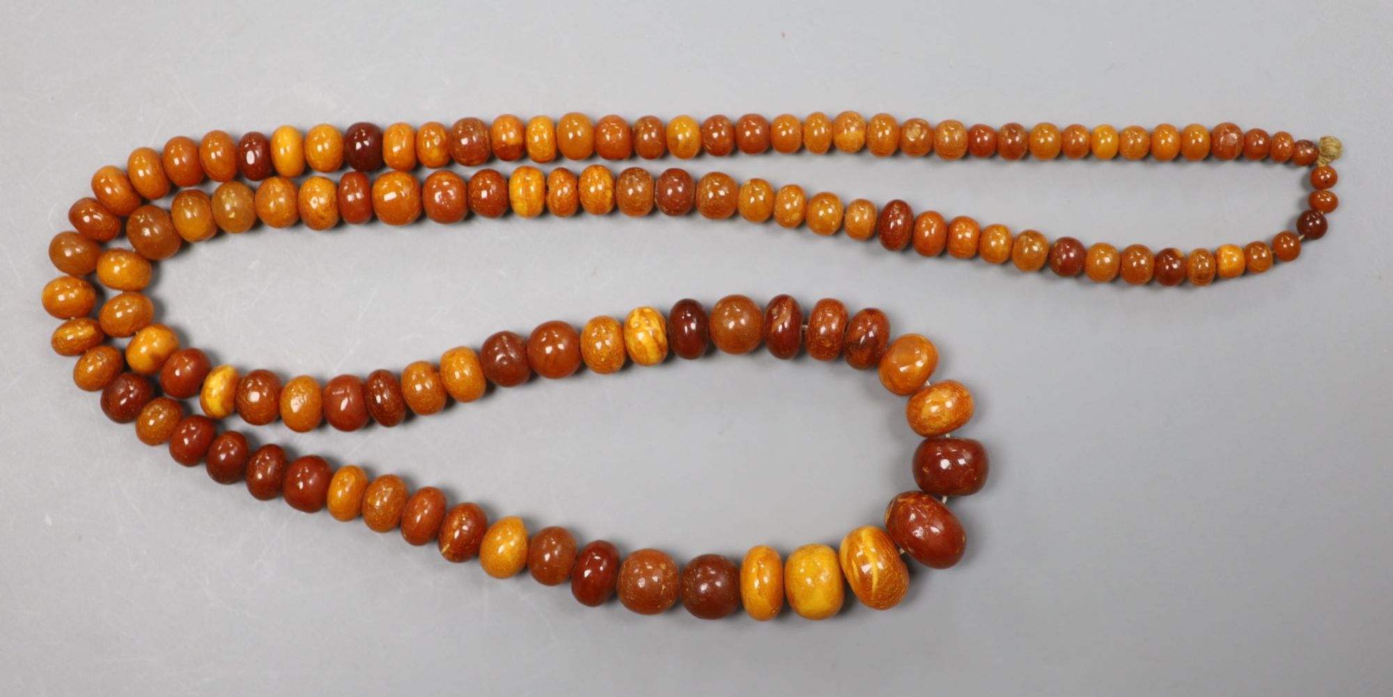 A single strand graduated amber bead necklace, 76cm, gross weight 39 grams.